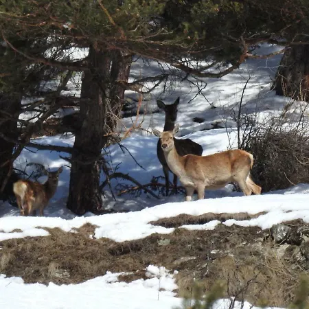 San Marco With A View. * Oulx