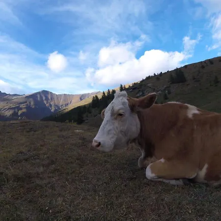 San Marco With A View. Lägenhet *