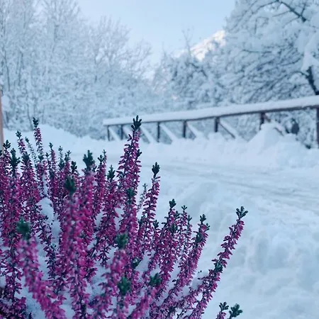San Marco With A View.