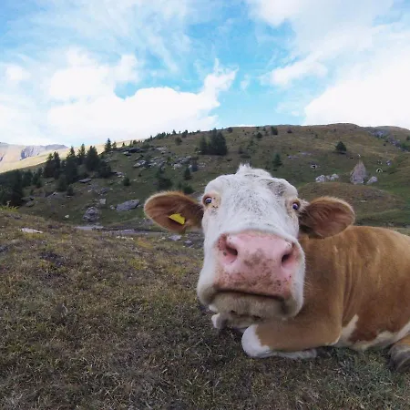 شقة San Marco With A View. Oulx